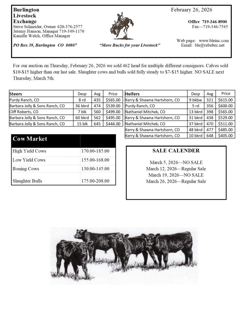 2_26_26_marketletter